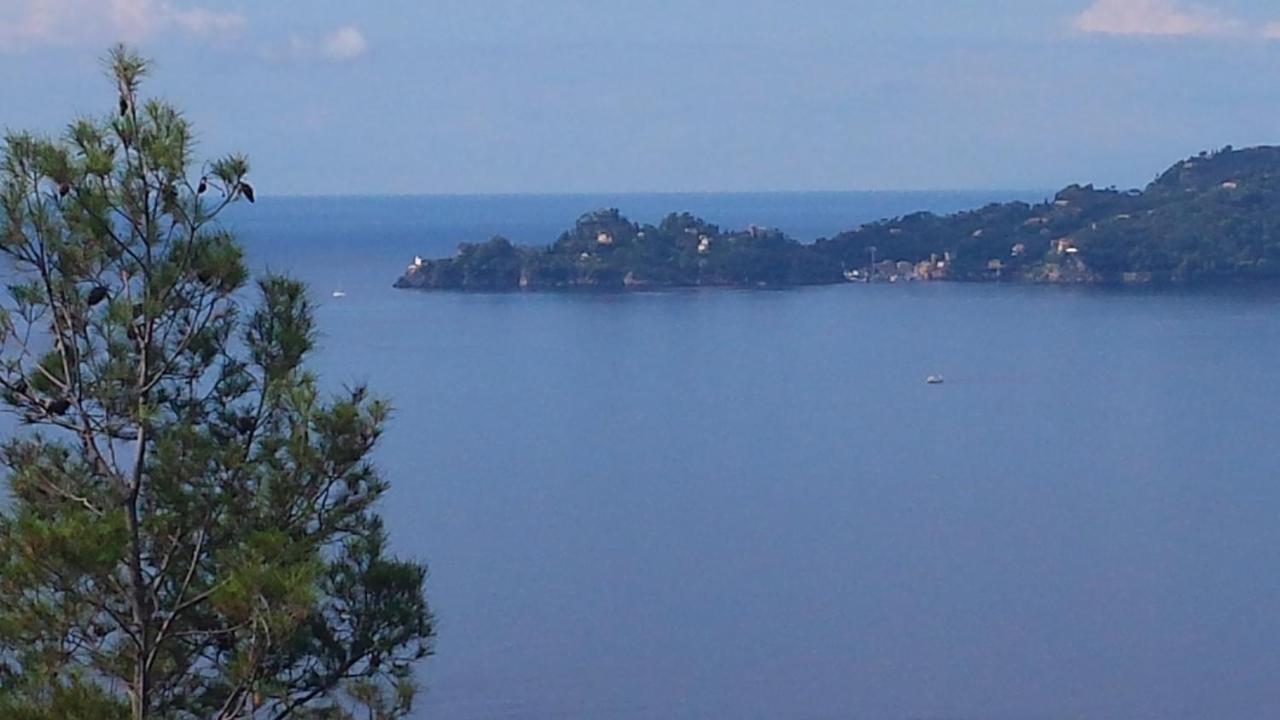 Vicino A Portofino E Alle Cinque Terre - Near Portofino And Cinque Terre Zoagli Buitenkant foto
