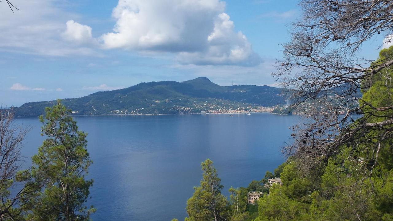 Vicino A Portofino E Alle Cinque Terre - Near Portofino And Cinque Terre Zoagli Buitenkant foto
