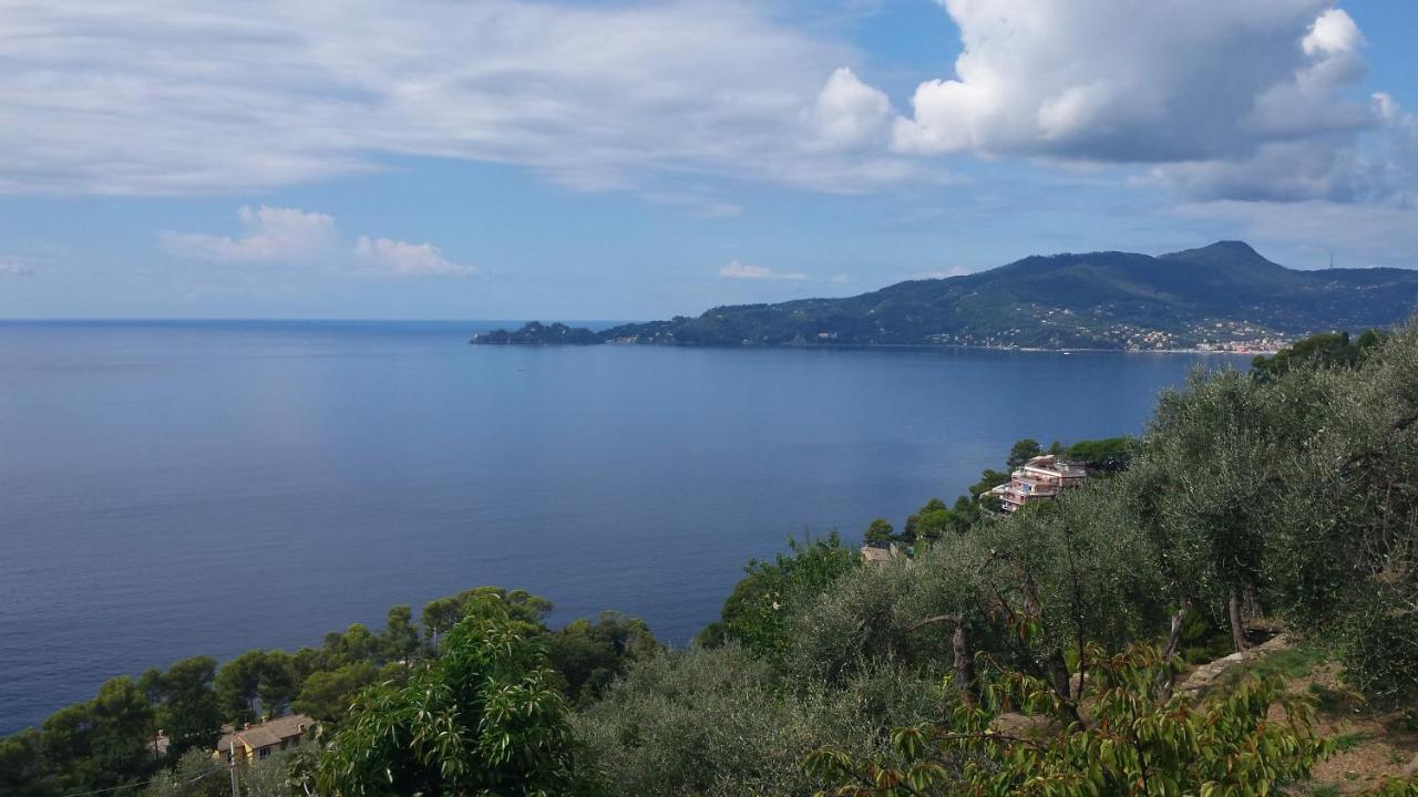 Vicino A Portofino E Alle Cinque Terre - Near Portofino And Cinque Terre Zoagli Buitenkant foto