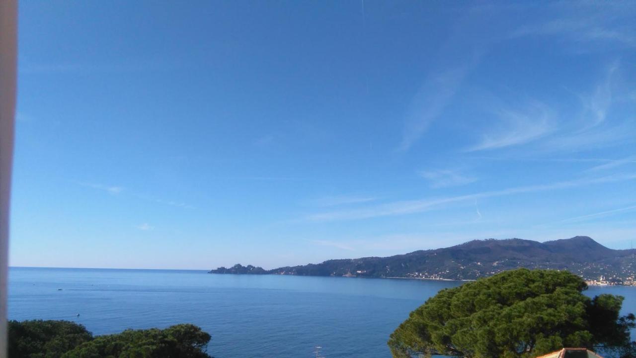 Vicino A Portofino E Alle Cinque Terre - Near Portofino And Cinque Terre Zoagli Buitenkant foto